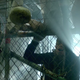 Image for article titled The WWE 2K Commercials Are Loaded With Easter Eggs
